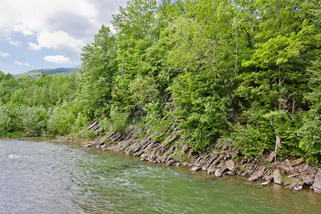 Mountain river Prut in the Ukrainian Carpathiansの写真素材