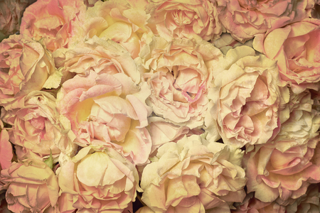 vintage aged background with a bouquet of white roses closeupの写真素材