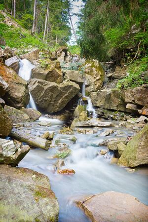 Mountain forest creek with a waterfall in the Carpathian Mountainsの写真素材