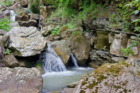 Mountain forest creek with a waterfall in the Carpathian Mountainsの写真素材