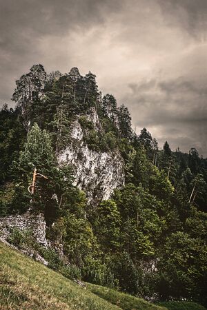 Tinted vertical landscape. Cliff overgrown with forest on a background of cloudy sky. Polish Peninsの写真素材