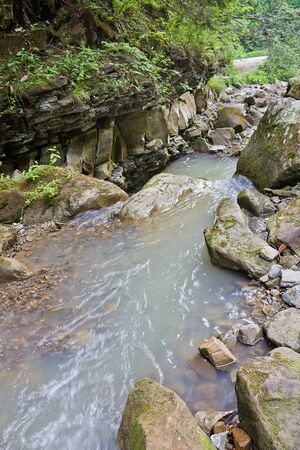 Mountain forest creek with a waterfall in the Carpathian Mountainsの写真素材
