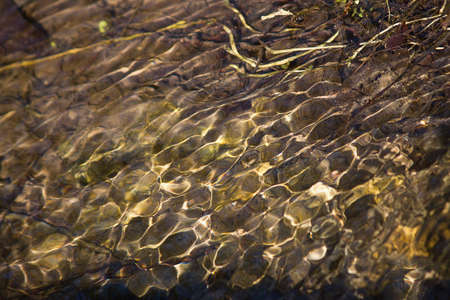 abstract background ripples on the water surface on a sunny day close upの写真素材