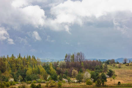 spring landscape with field, flowering trees and cloudy sky and mountains in the backgroundの写真素材