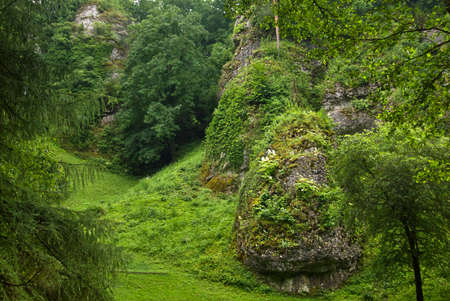 beautiful summer landscape with rocks and forestの写真素材