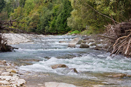 Summer landscape with forest and mountain river.の写真素材