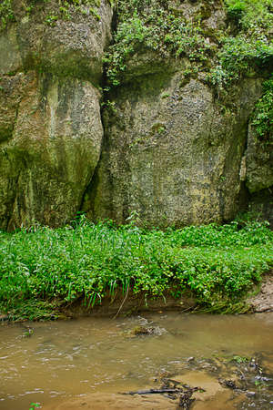 a rock in the woods on the bank of a streamの写真素材