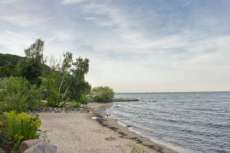 seascape. A sandy beach with trees and stonesの写真素材