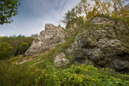 Autumn landscape. A rock in an autumn forestの写真素材