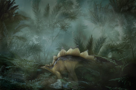 a prehistoric jungle landscape with a dinosaur. Stegosaurus in the misty  Jurassic rainforestの写真素材