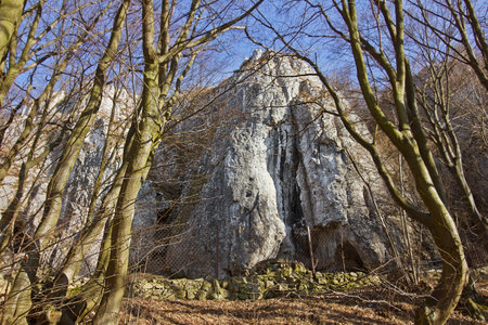 landscape with rocks and bare trees in early springの写真素材