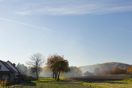 a smoke-filled field with autumn trees in the backgroundの写真素材
