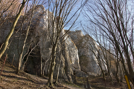 landscape with rocks and bare trees in early springの写真素材