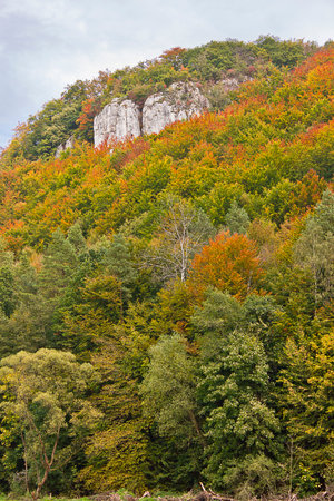 Autumn landscape. A rock in an autumn forestの写真素材