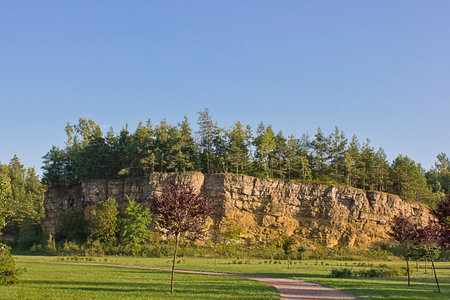 a landscape with a mountain and trees on topの写真素材