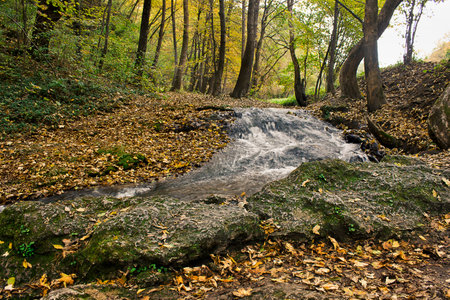 a forest stream with a waterfall in an autumn forestの写真素材