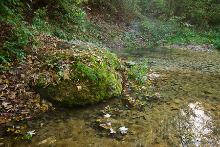 A large moss-covered rock on the bank of a forest streamの写真素材