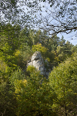 Summer landscape. A rock in the woods among the green thickets.の写真素材
