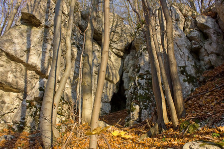 a rock with a cave in the autumn forestの写真素材