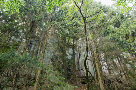 Landscape a picturesque rock covered with a forestの写真素材