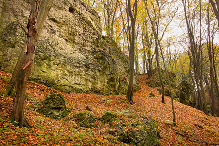 Autumn landscape with picturesque rocks in the forest. Nature of Polandの写真素材