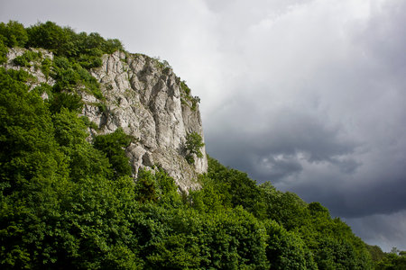 landscape a rock in the woods amongst green treesの写真素材