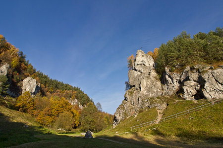 Autumn landscape. A rock in an autumn forestの写真素材