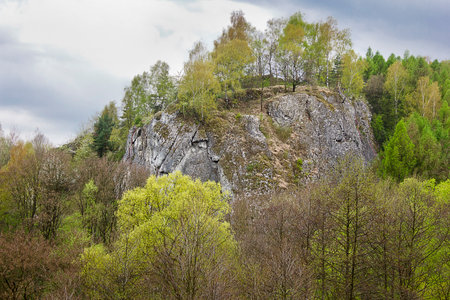 a spring landscape with a mountain and blossoming trees in a spring forestの写真素材