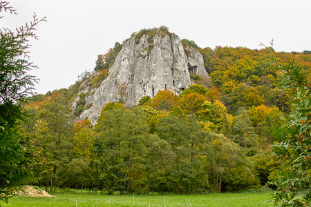 Autumn landscape. A rock in an autumn forestの写真素材