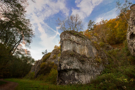Picturesque autumn landscape. Gorge with yellowed trees and fallen leavesの写真素材