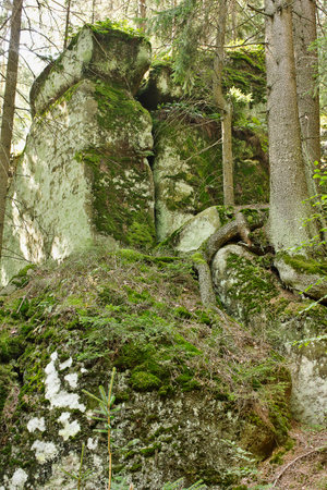 Landscape with picturesque rocks in the forest. Table mountains in Polandの写真素材