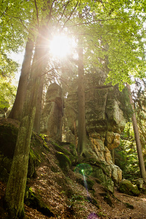 A forest landscape with picturesque cliffs. Nature of Polandの写真素材
