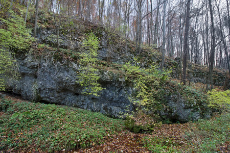 Autumn landscape a rock in an autumnal forestの写真素材