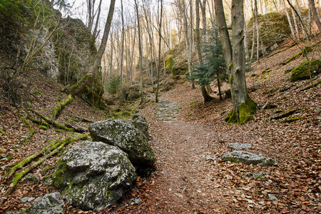 Landscape with rocks and woods. A forest in early spring.の写真素材