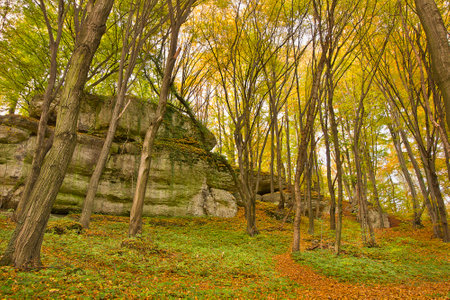 Autumn landscape with picturesque rocks in the forest. Nature of Polandの写真素材