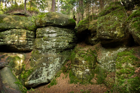 Landscape with rocks in the forest. Close-up of rocks overgrown with mossの写真素材