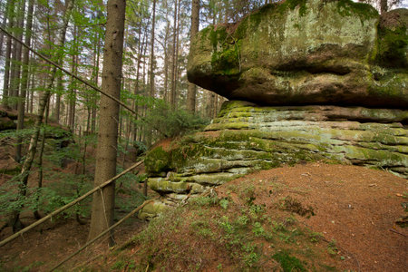 A forest landscape with picturesque cliffs. Nature of Polandの写真素材