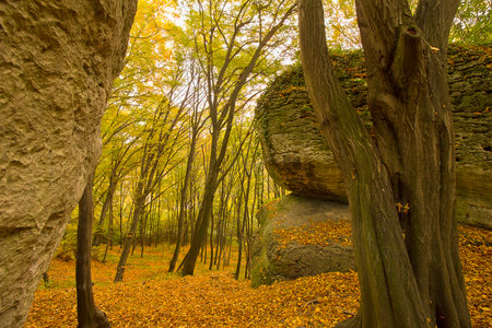 Autumn landscape with picturesque rocks in the forest. Nature of Polandの写真素材