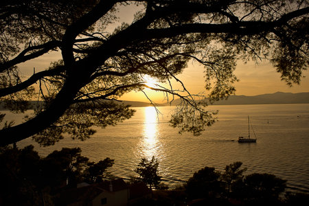 Seascape with setting sun and silhouettes of treesの写真素材