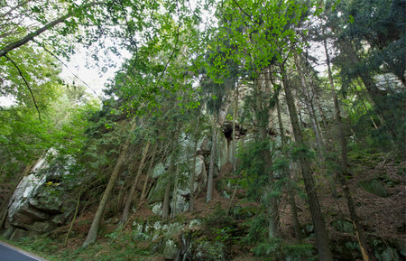 Landscape a picturesque rock covered with a forestの写真素材