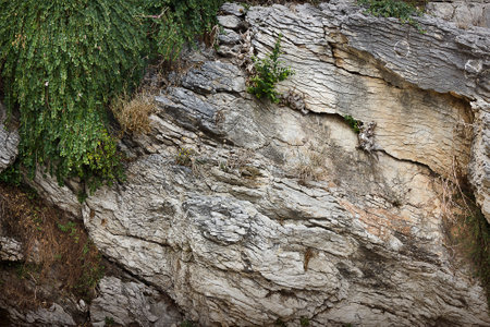 Close-up background of the rock surface with growing grassの写真素材