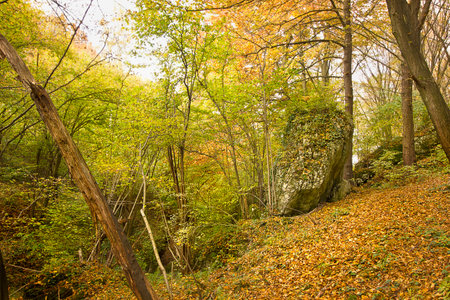 Autumn landscape with picturesque rocks in the forest. Nature of Polandの写真素材