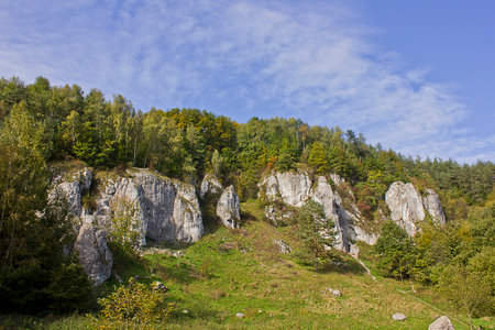Autumn landscape. A rock in an autumn forestの写真素材