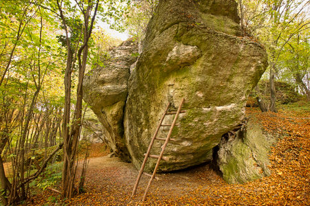 Autumn forest with yellowed trees and fallen leaves. Rock in the autumn forestの写真素材