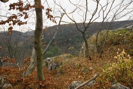 Autumn landscape. View from the top of the mountain.の写真素材