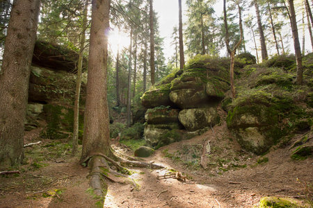 Landscape with picturesque rocks in the forest. Table mountains in Polandの写真素材