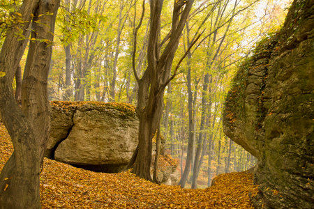 Autumn landscape with picturesque rocks in the forest. Nature of Polandの写真素材