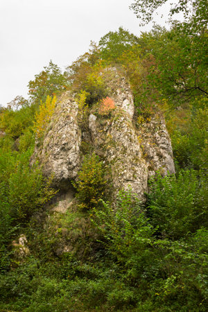 Autumn Landscape. Picturesque rock in yellow autumn forest.の写真素材