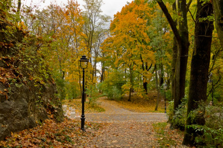 An autumn park with paths stretched with yellow leaves. Landscape with autumn trees and a lanternの写真素材