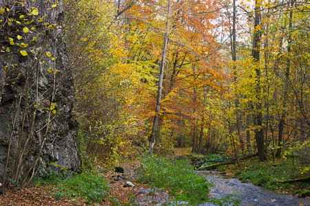 Autumn landscape with river, road and rockの写真素材